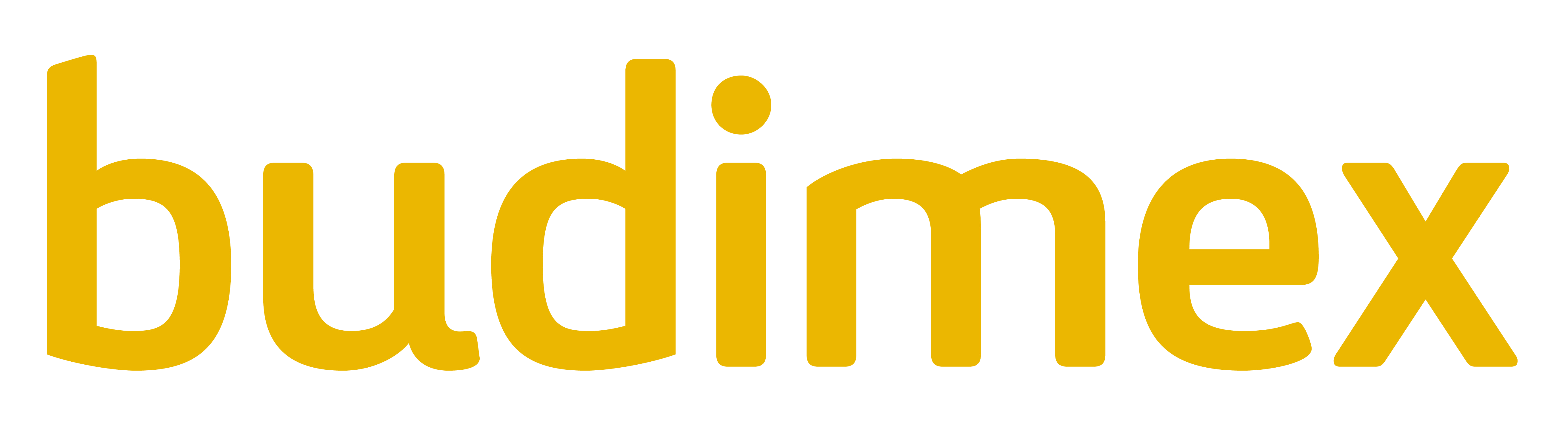 Logo_Budimex